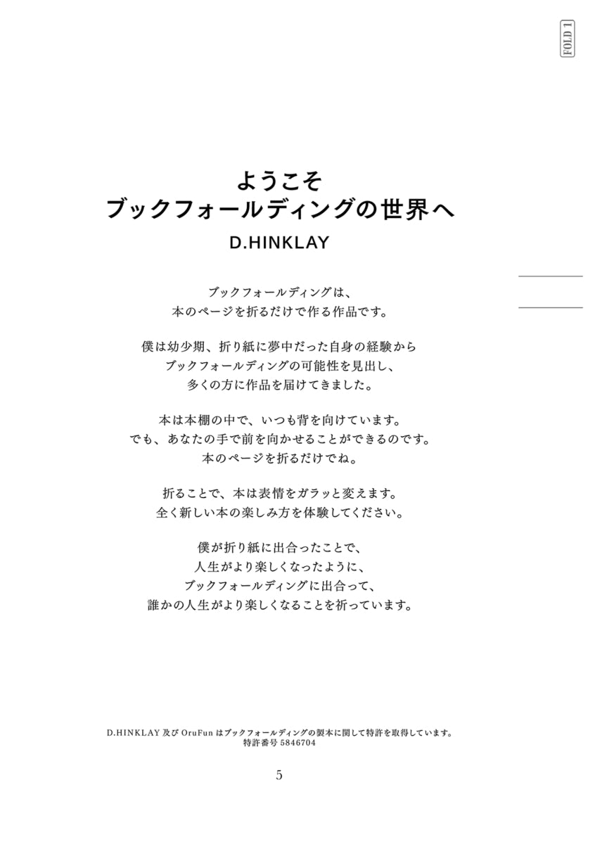 【D. HINKLAYサイン付き】ブックフォールディング“猫”
