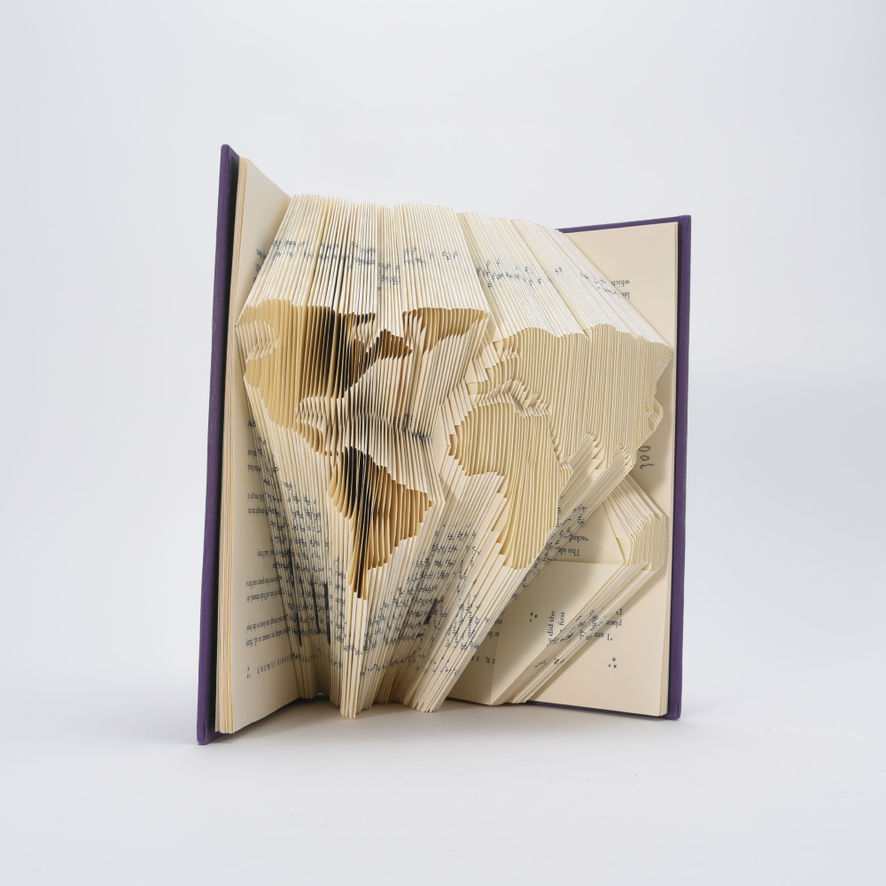 World Map